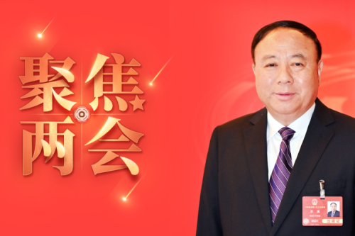 天下人大代表李寅2025年建议之四--尽快解决农林生物质发电可再生能源电价附加津贴拖欠问题，化解行业谋划危害的建议